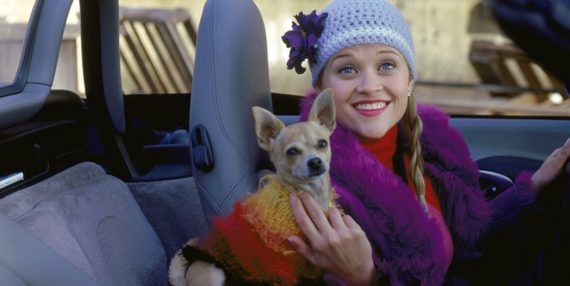 Why Legally Blonde Was An Impressive Feminist Film For 2001 7742