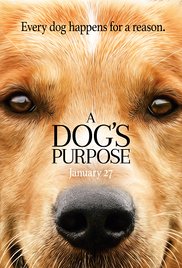 Movies Opening In Cinemas On January 27 - A Dog's Purpose