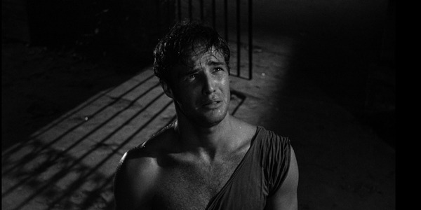 The Nominated Film You May Have Missed: A STREETCAR NAMED DESIRE