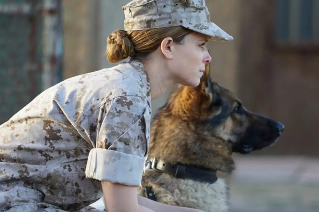 MEGAN LEAVEY: Not The Sappy Dog Movie You Think It Is