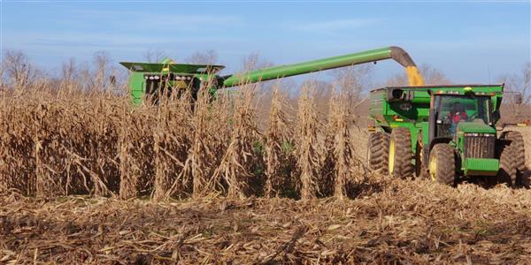 LOOK & SEE: A PORTRAIT OF WENDELL BERRY: Smoke & Farmland - Film Inquiry