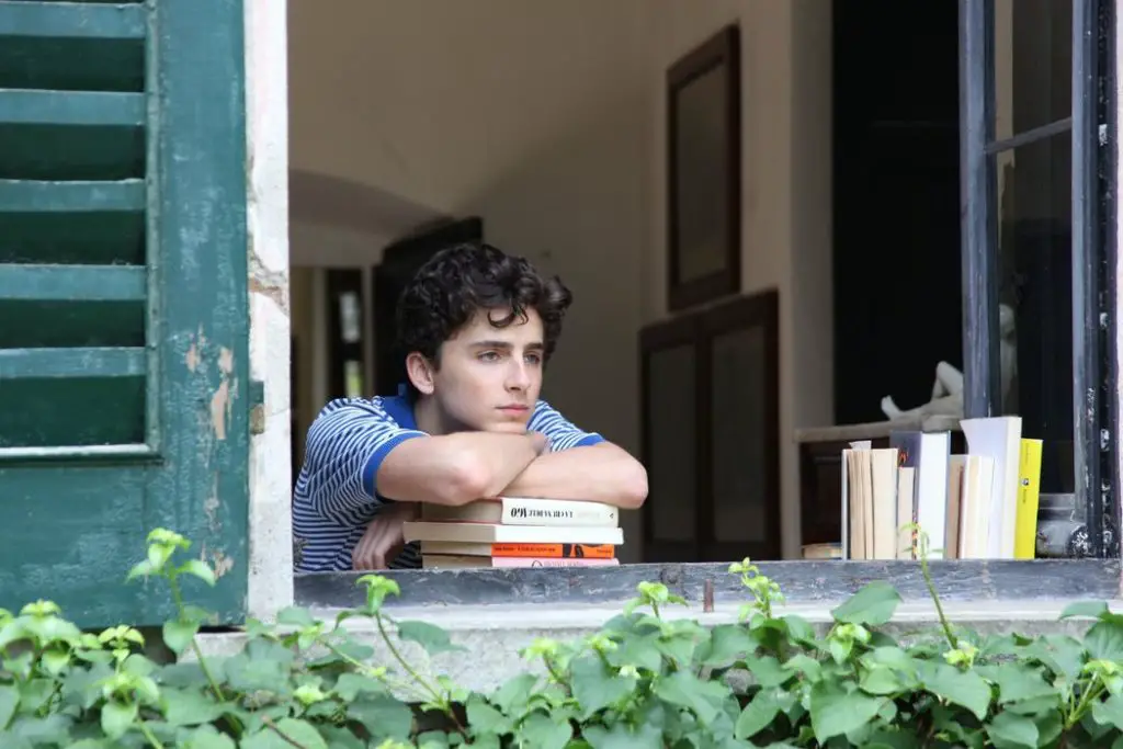 CALL ME BY YOUR NAME: Of Bright & Beautiful Summer Days