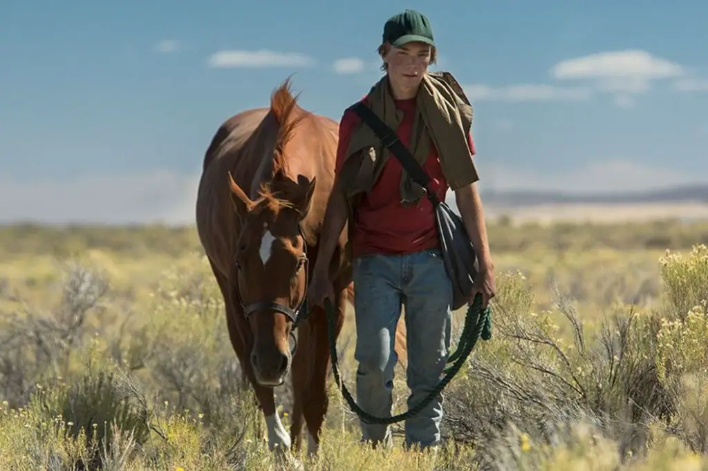 LEAN ON PETE Trailer