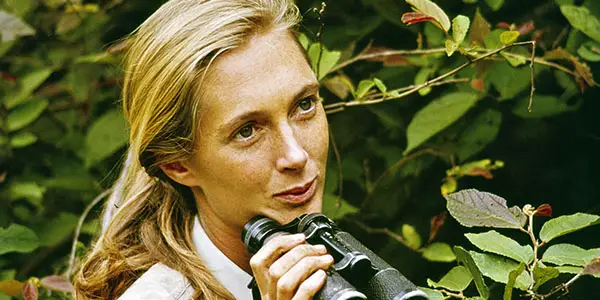 Chimps, Oscar Snubs & Favorite Films With Dr. Jane Goodall