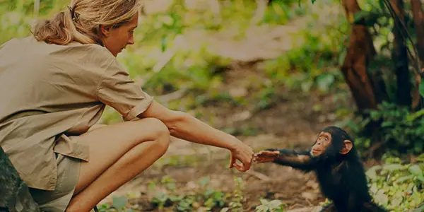 Chimps, Oscar Snubs & Favorite Films With Dr. Jane Goodall