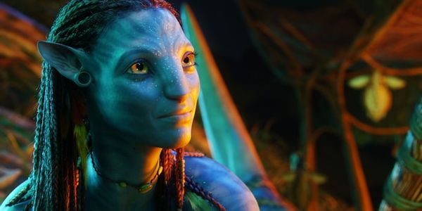 Away from the Hype: AVATAR