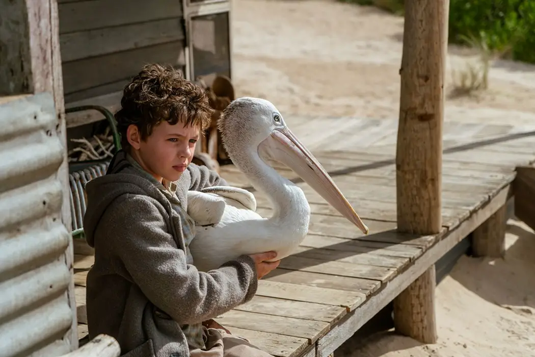 where to watch storm boy