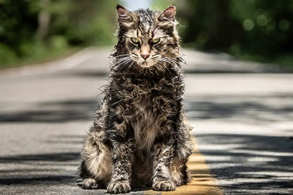 SXSW Review: PET SEMATARY: It’s Back… But is it the Same?