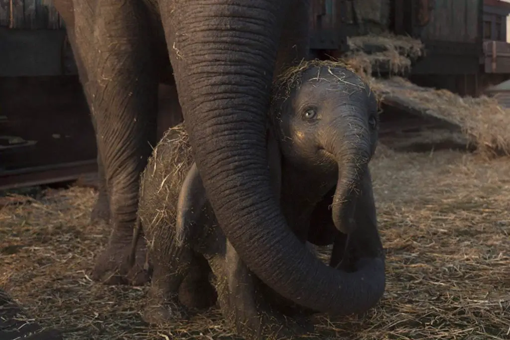 DUMBO: A Soulless Remake That Never Takes Flight