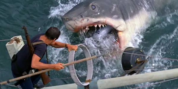 Sharks In Cinema & Environmental Anxieties: From JAWS To THE MEG