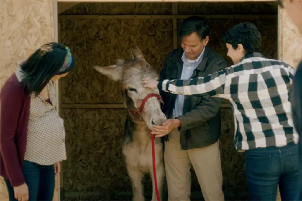 ABOUT A DONKEY: A Modest But Moving Film