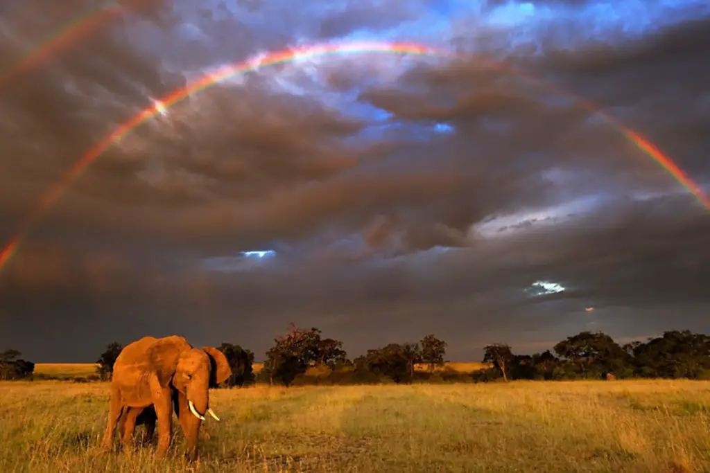 OUR PLANET: Crucial Warning Balanced With Stunning Visuals