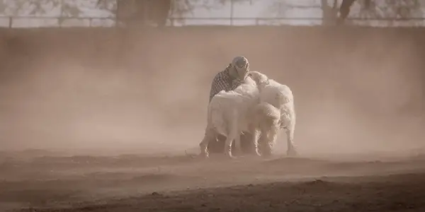 THE BIGGEST LITTLE FARM: The Power Of Mother Nature On Full Display