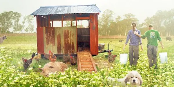 THE BIGGEST LITTLE FARM: The Power Of Mother Nature On Full Display