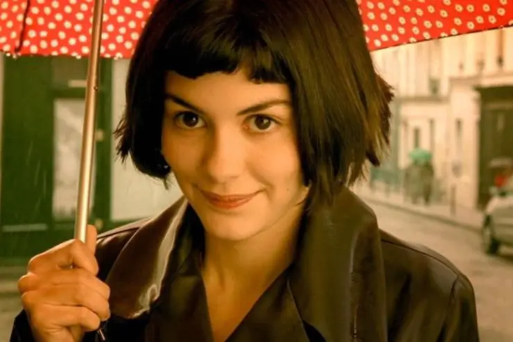 Image result for “Amelie” film