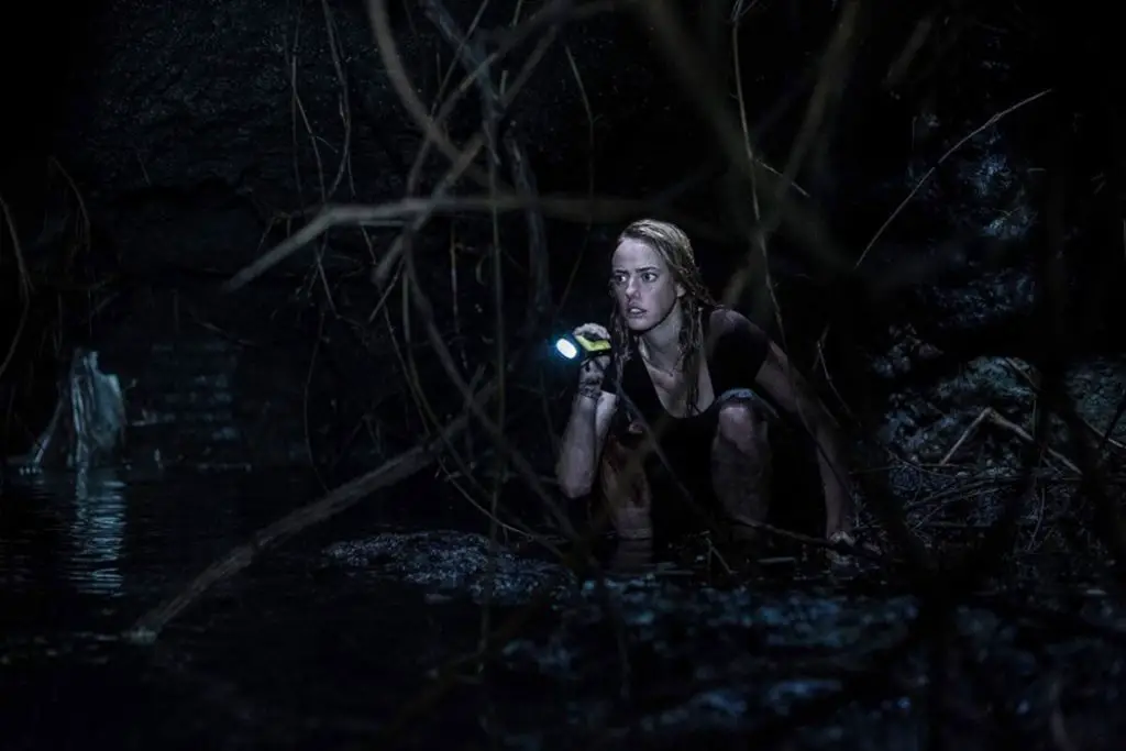 CRAWL: A B-Movie With A Killer Bite