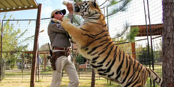 THE TIGER KING: Wait, What Just Happened?