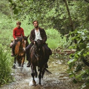 OUT STEALING HORSES trailer