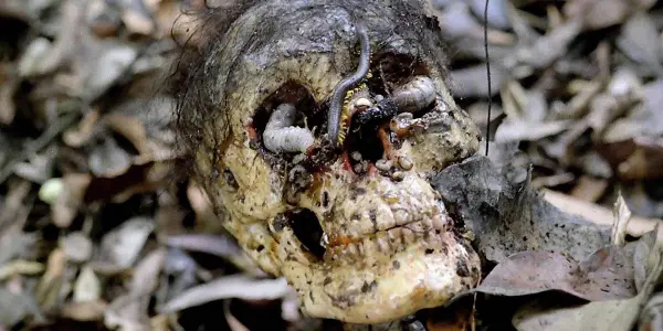 Away from the Hype: CANNIBAL HOLOCAUST