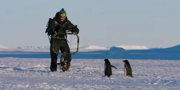 In Disney Nature's PENGUINS: LIFE ON THE EDGE, It's Filmmakers Versus Penguins