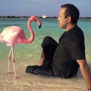 THE MYSTERY OF THE PINK FLAMINGO: La Vie En Kitsch