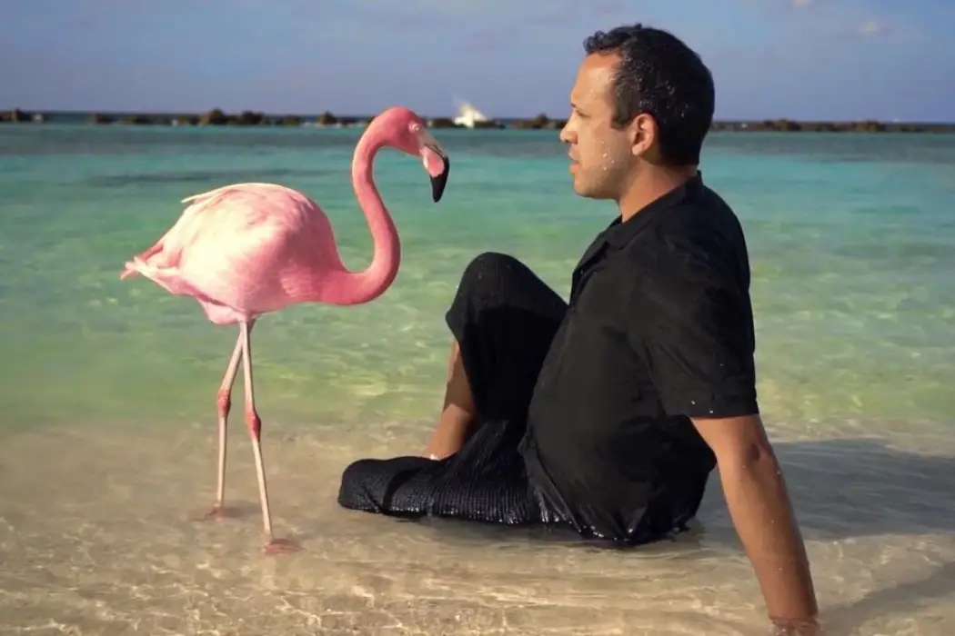 THE MYSTERY OF THE PINK FLAMINGO: La Vie En Kitsch