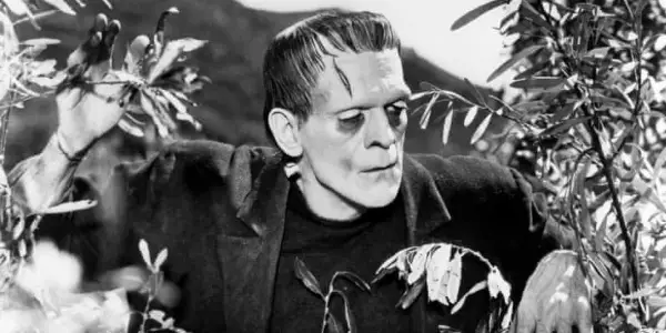 Horrific Inquiry: FRANKENSTEIN (1931)