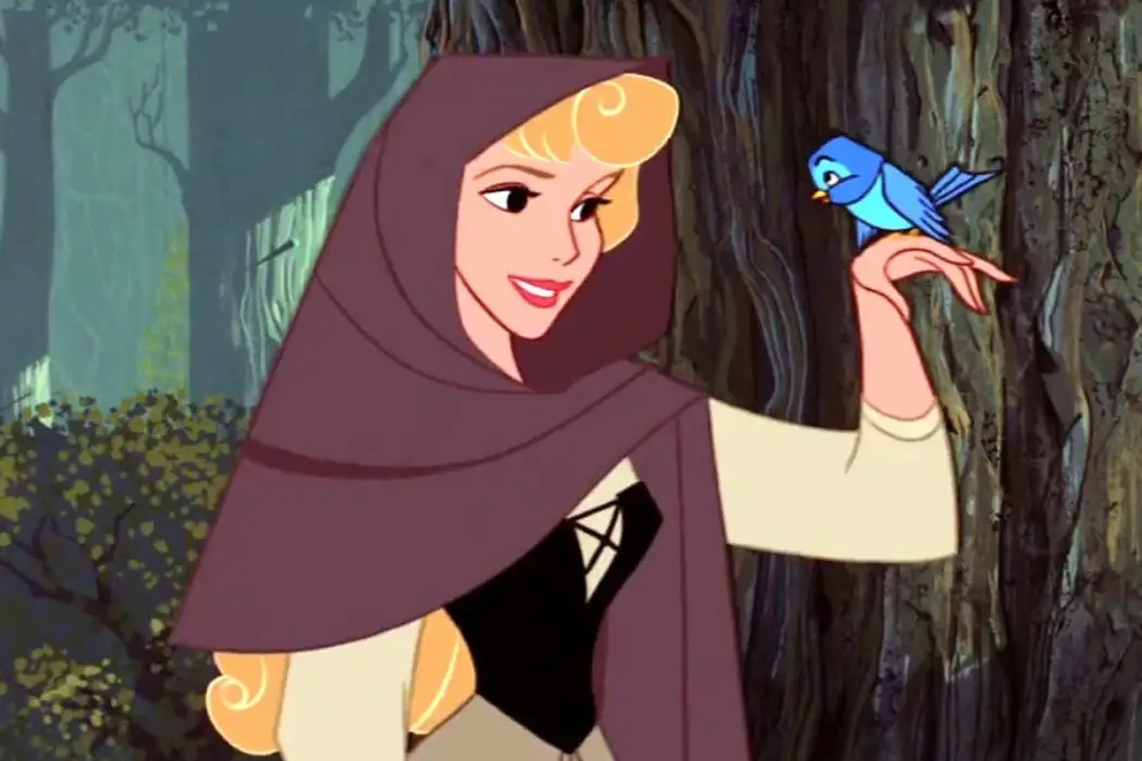 Is Aurora Sleeping Beauty? And Other Disney Princess Questions