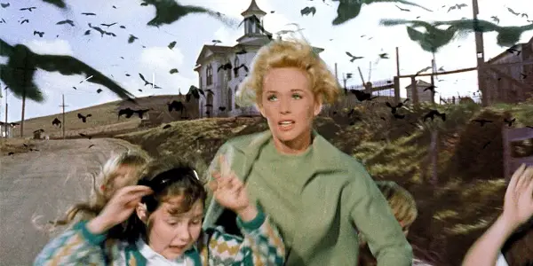 Horrific Inquiry: THE BIRDS (1963)