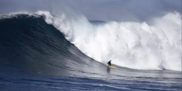 SURFER: TEEN CONFRONTS FEAR: In Search of a Modern Cult Classic