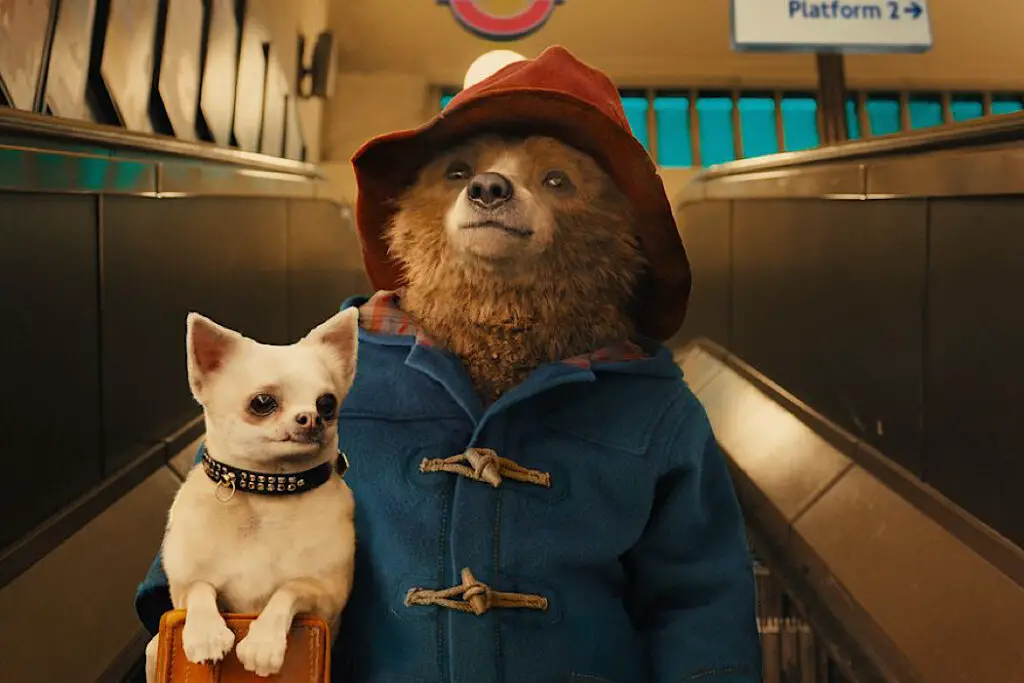 PADDINGTON IN PERU Trailer