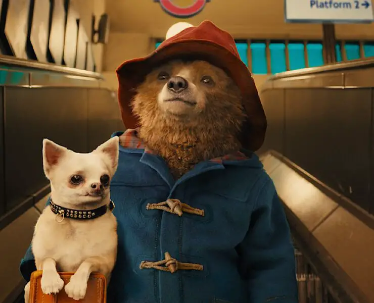 PADDINGTON IN PERU Trailer