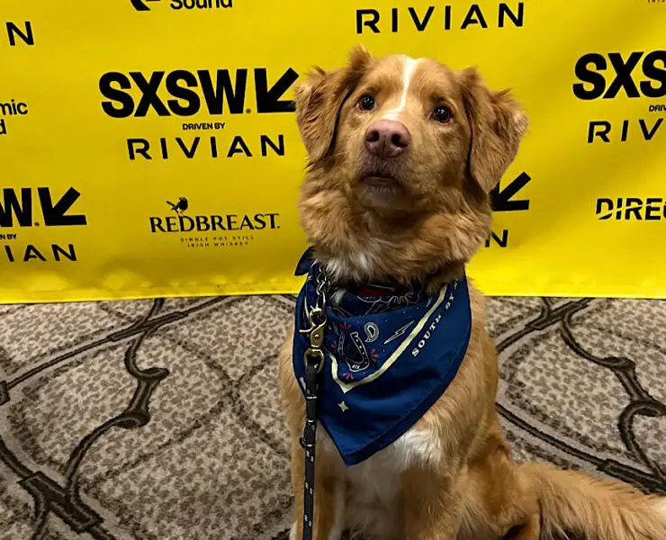 SXSW Film Festival 2025 Interviews For GOOD BOY